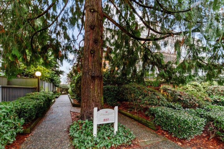 Photo 18 at 102 - 827 W 16th Street, Mosquito Creek, North Vancouver