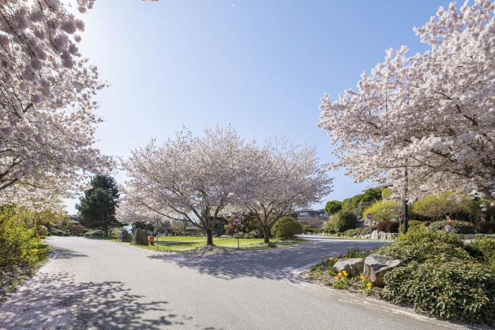 Photo 39 at 4987 Meadfeild Wynd, Caulfeild, West Vancouver