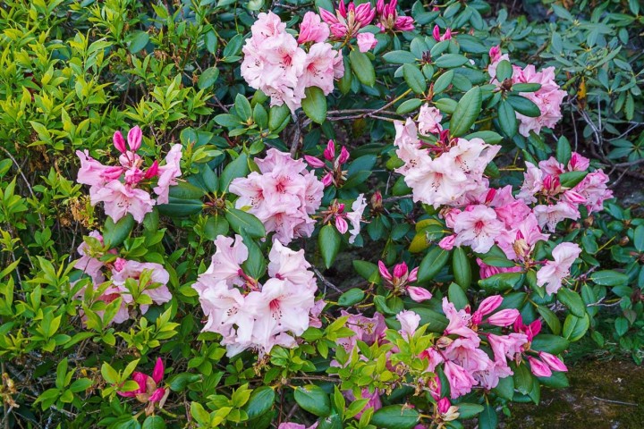 Photo 35 at 3898 Southridge Avenue, Bayridge, West Vancouver