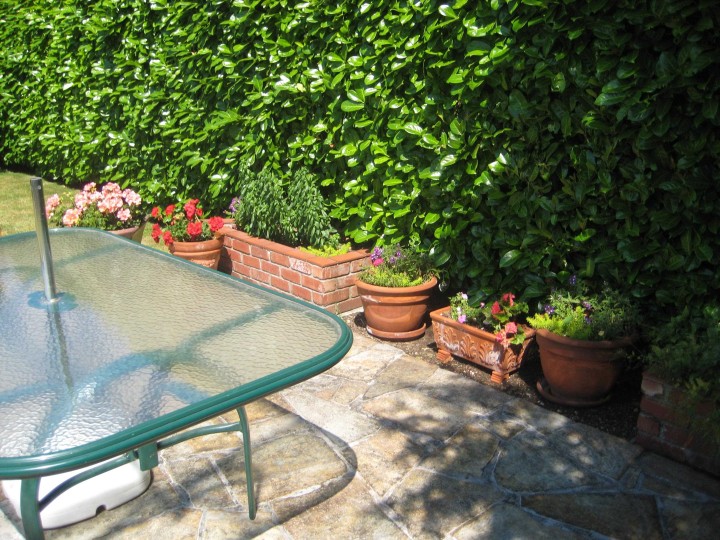 Photo 20 at 936 W 37th Avenue, Cambie, Vancouver West