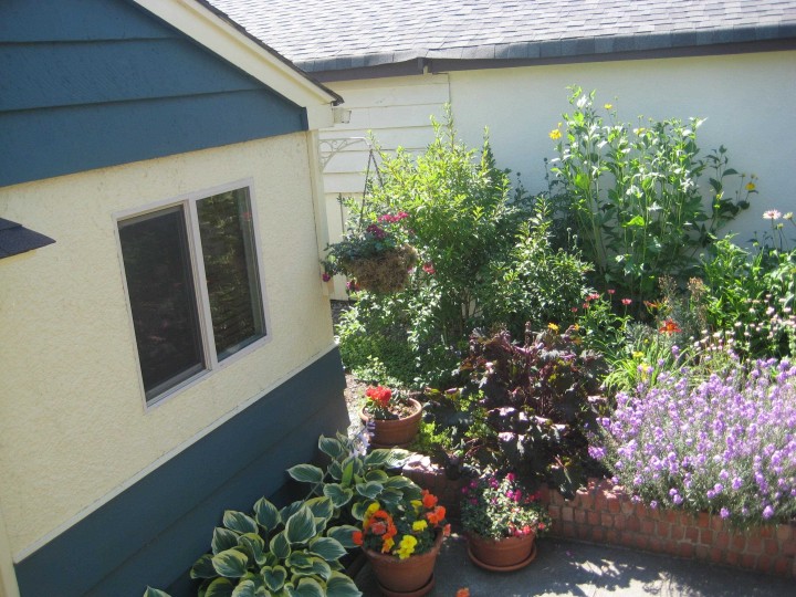 Photo 18 at 936 W 37th Avenue, Cambie, Vancouver West