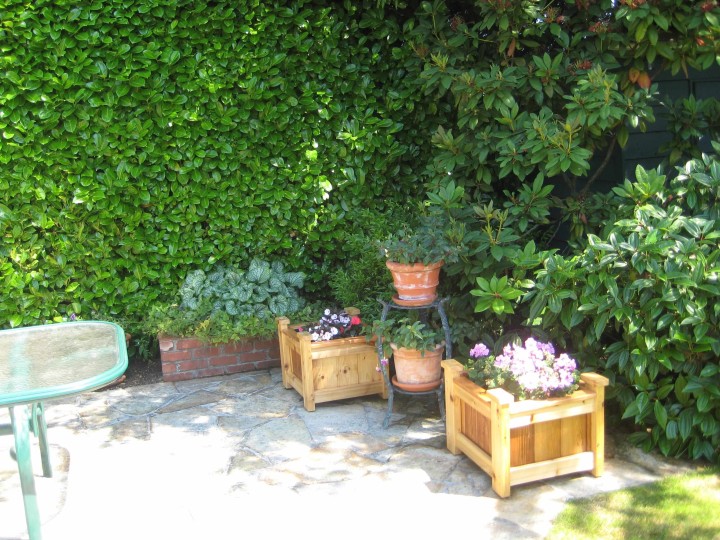 Photo 19 at 936 W 37th Avenue, Cambie, Vancouver West