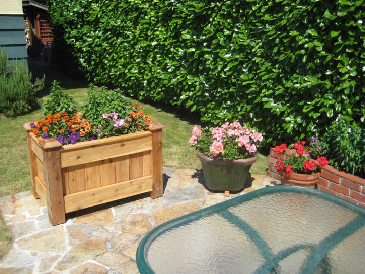 Photo 21 at 936 W 37th Avenue, Cambie, Vancouver West