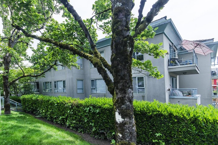 Photo 6 at 206 - 1085 W 17th Street, Pemberton NV, North Vancouver