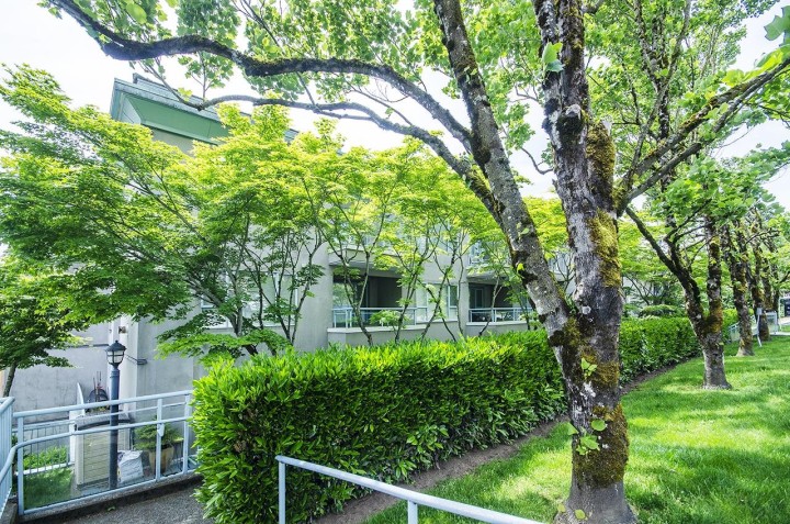 Photo 5 at 206 - 1085 W 17th Street, Pemberton NV, North Vancouver