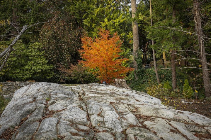 Photo 34 at 4778 Marine Drive, Olde Caulfeild, West Vancouver