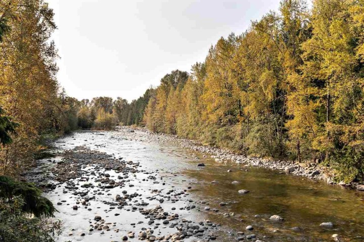 Photo 17 at 4 - 1960 Glenaire Drive, Pemberton NV, North Vancouver