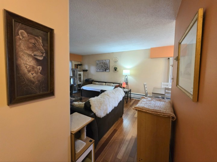 Photo 11 at 309 - 225 W 3rd Street, Lower Lonsdale, North Vancouver