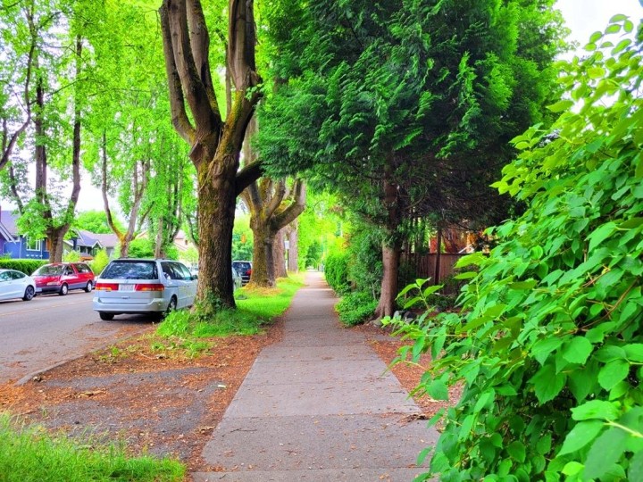 Photo 32 at 3346 W 10th Avenue, Kitsilano, Vancouver West