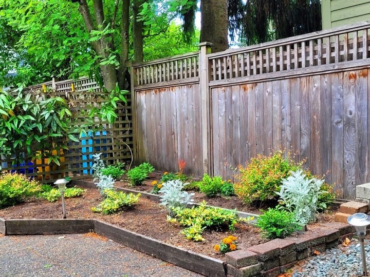 Photo 18 at 3346 W 10th Avenue, Kitsilano, Vancouver West