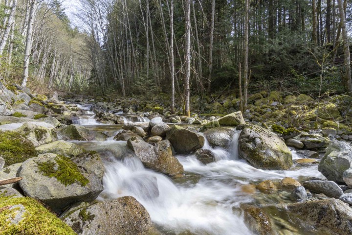 Photo 32 at 568 Palisade Drive, Canyon Heights NV, North Vancouver