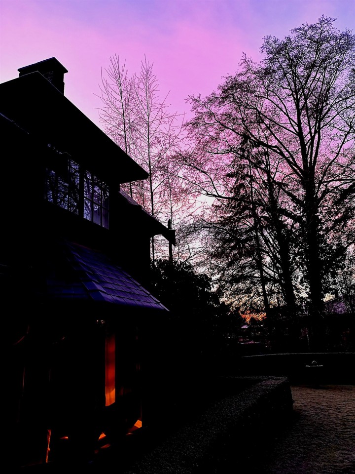 Photo 34 at 6786 Blenheim Street, Southlands, Vancouver West