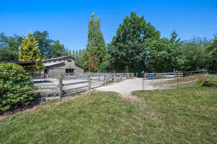 Photo 16 at 7026 Balaclava Street, Southlands, Vancouver West