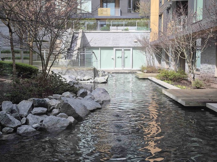 Photo 2 at 204 - 375 W 59th Avenue, South Cambie, Vancouver West