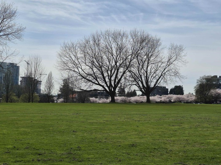 Photo 20 at 204 - 375 W 59th Avenue, South Cambie, Vancouver West