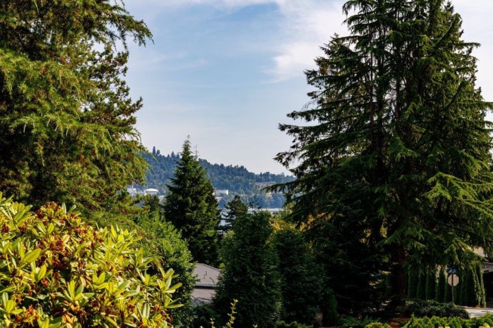 Photo 27 at 697 Plymouth Drive, Windsor Park NV, North Vancouver