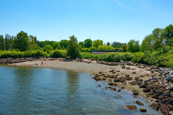 Photo 27 at 2870 Mcgill Street, Hastings Sunrise, Vancouver East