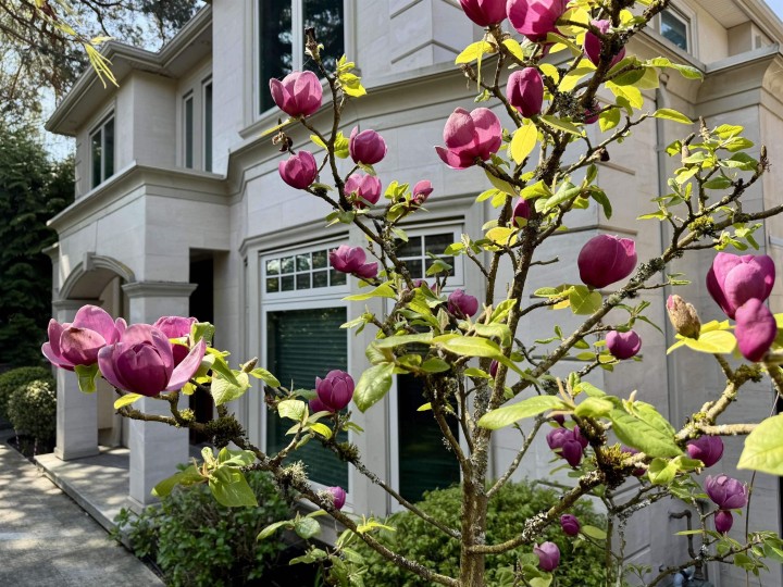 Photo 36 at 7165 Maple Street, S.W. Marine, Vancouver West