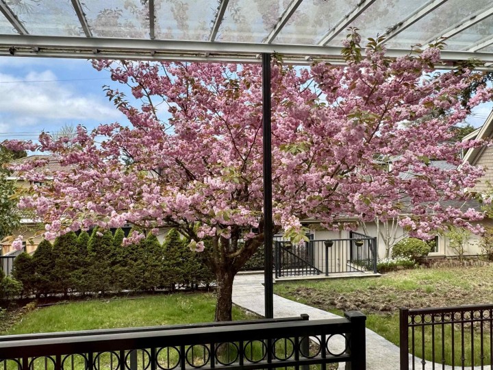 Photo 37 at 7165 Maple Street, S.W. Marine, Vancouver West