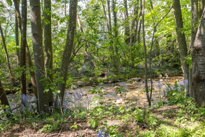 Photo 32 at 115 - 735 W 15th Street, Mosquito Creek, North Vancouver