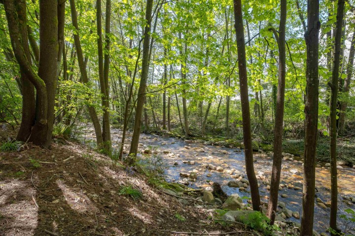 Photo 33 at 115 - 735 W 15th Street, Mosquito Creek, North Vancouver