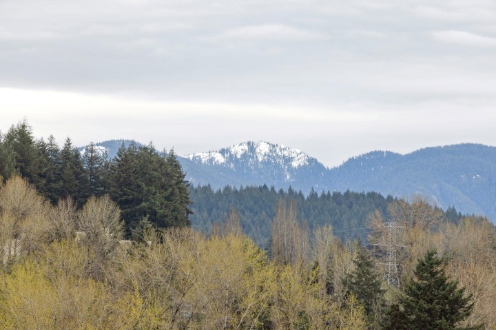 Photo 20 at 805 - 1500 Fern Street, Lynnmour, North Vancouver