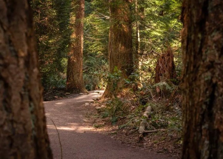 Photo 39 at 301 - 5775 Hampton Place, University VW, Vancouver West