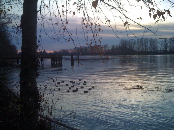 Photo 37 at 2162 Se Kent Avenue, South Marine, Vancouver East