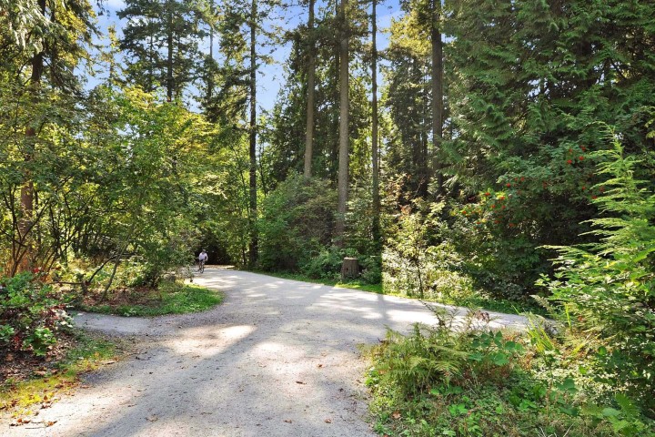 Photo 21 at 5454 Melbourne Street, Collingwood VE, Vancouver East