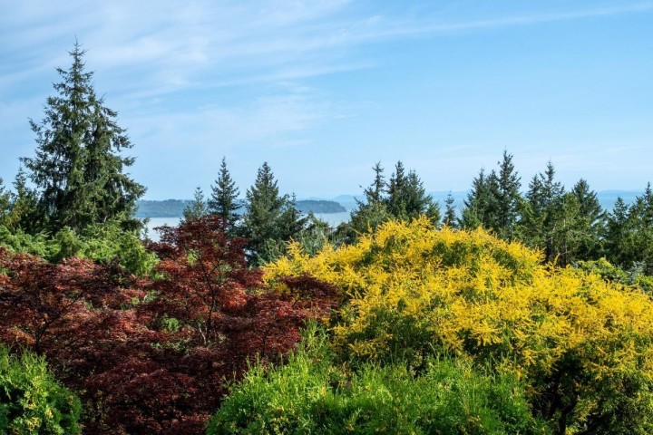 Photo 40 at 4415 Woodcrest Road, Cypress Park Estates, West Vancouver