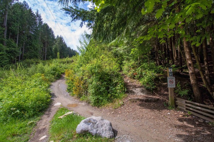 Photo 32 at 3875 Regent Avenue, Upper Lonsdale, North Vancouver