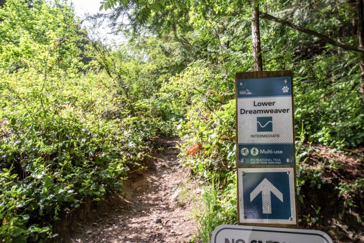 Photo 33 at 3875 Regent Avenue, Upper Lonsdale, North Vancouver