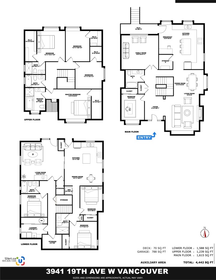 Photo 40 at 3941 W 19th Avenue, Dunbar, Vancouver West