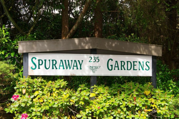 Photo 1 at 704 - 235 Keith Road, Cedardale, West Vancouver