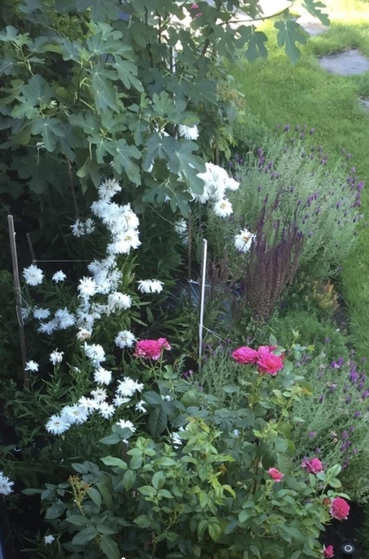 Photo 34 at 349 E 24th Street, Central Lonsdale, North Vancouver