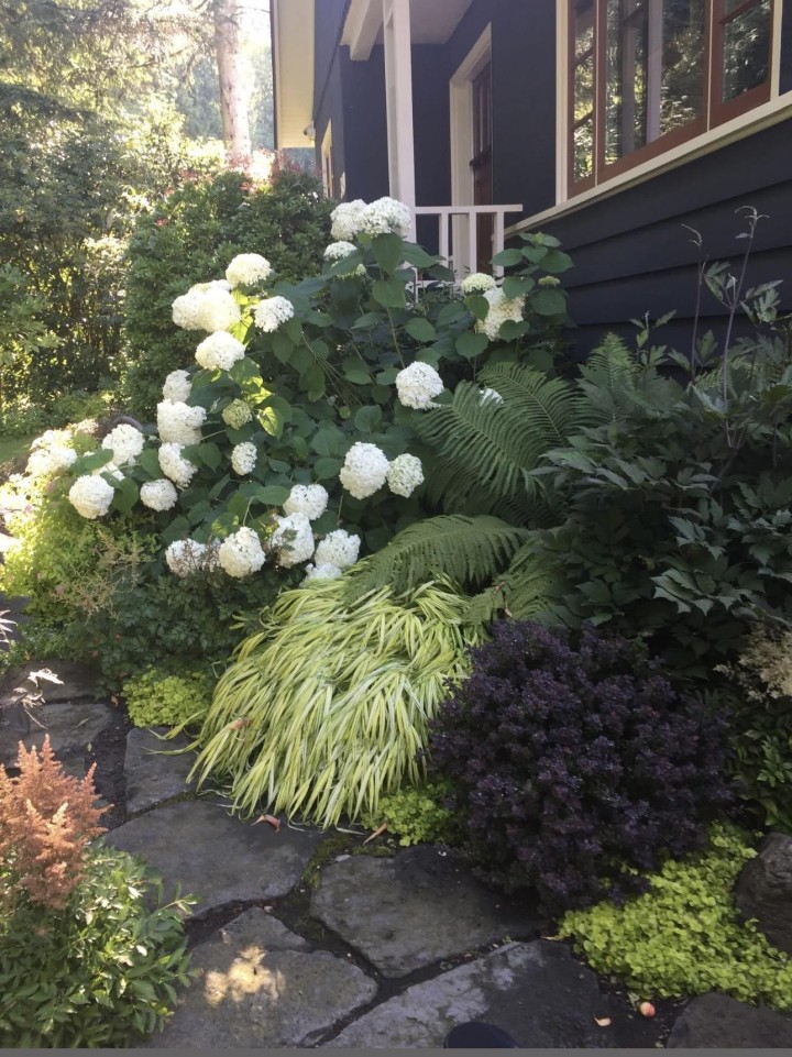 Photo 35 at 349 E 24th Street, Central Lonsdale, North Vancouver