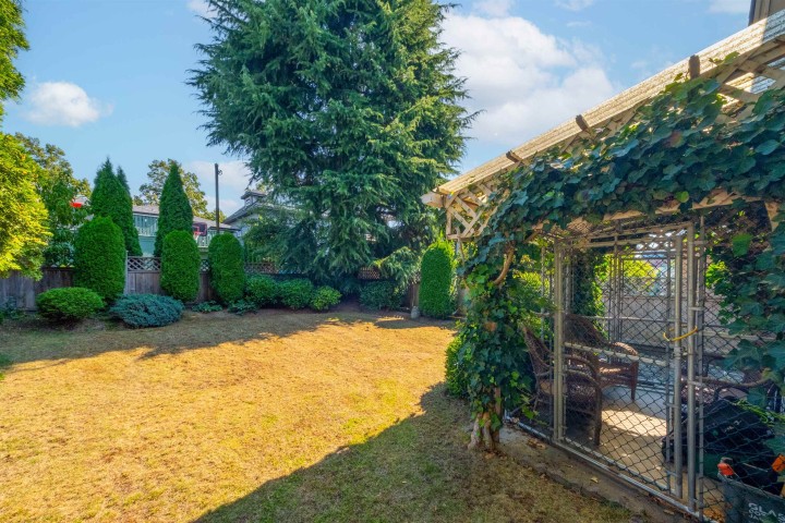 Photo 27 at 5020 Moss Street, Collingwood VE, Vancouver East