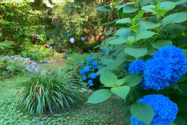 Photo 33 at 26 Brighton Beach, Indian Arm, North Vancouver