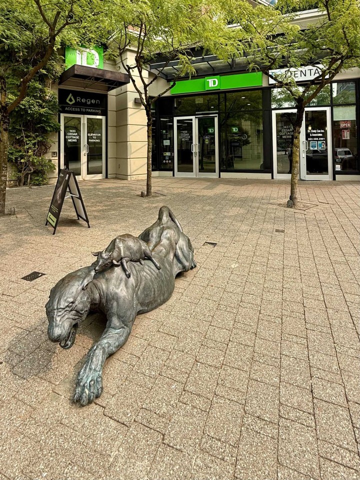 Photo 23 at 302 - 4028 Knight Street, Knight, Vancouver East