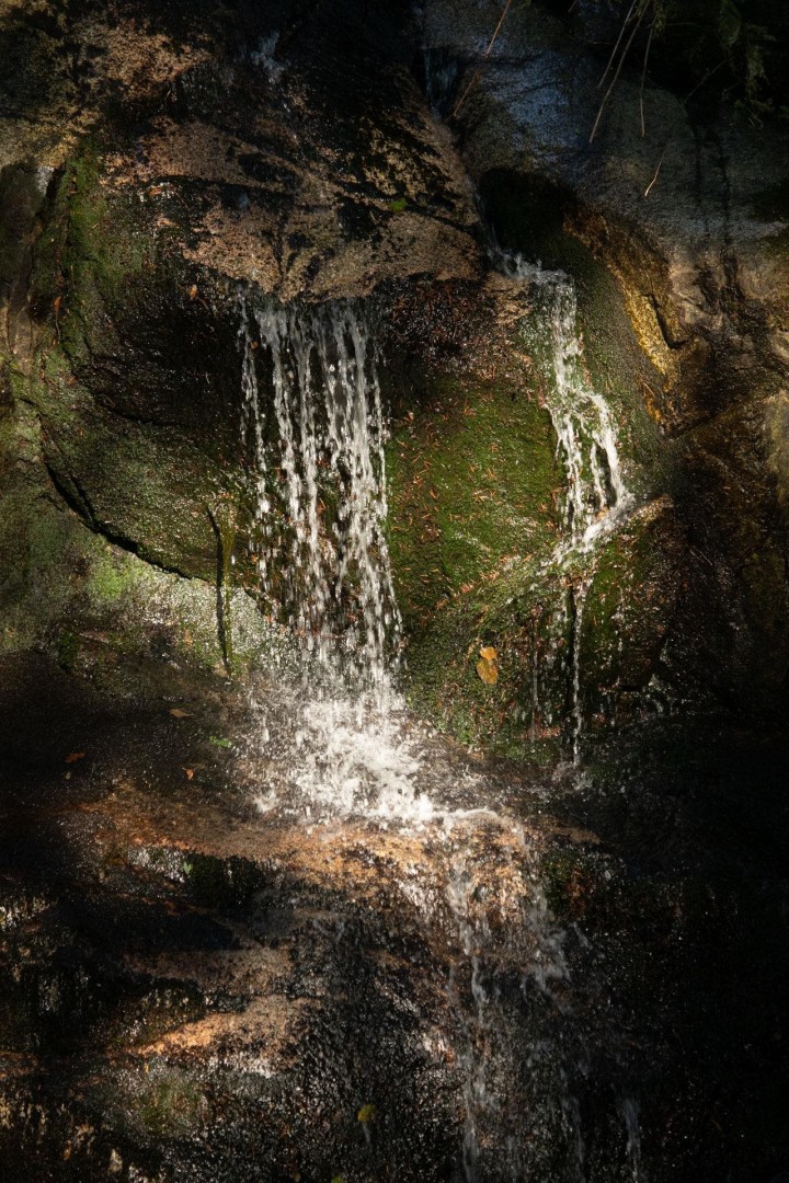 Photo 9 at 5439 Indian River Drive, Woodlands-Sunshine-Cascade, North Vancouver