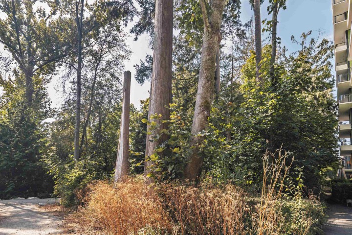 Photo 18 at 201 - 3533 Ross Drive, University VW, Vancouver West