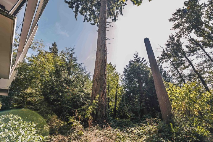 Photo 19 at 201 - 3533 Ross Drive, University VW, Vancouver West