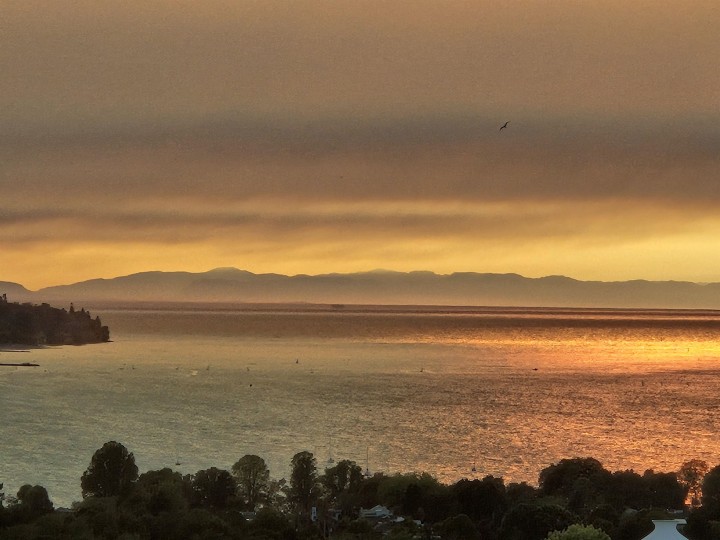 Photo 3 at 3202 - 501 Pacific Street, Downtown VW, Vancouver West