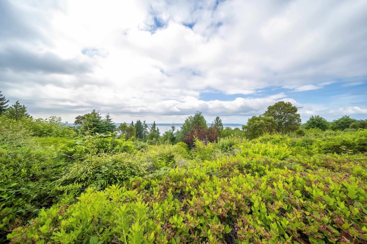 Photo 22 at 49 - 2202 Folkestone Way, Panorama Village, West Vancouver