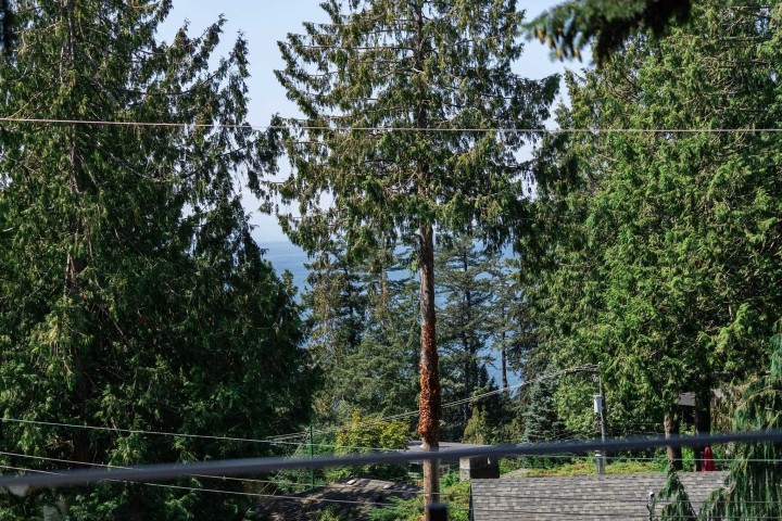 Photo 30 at 5061 Bear Lane, Caulfeild, West Vancouver