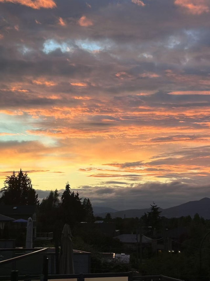 Photo 36 at 2863 W King Edward Avenue, Arbutus, Vancouver West