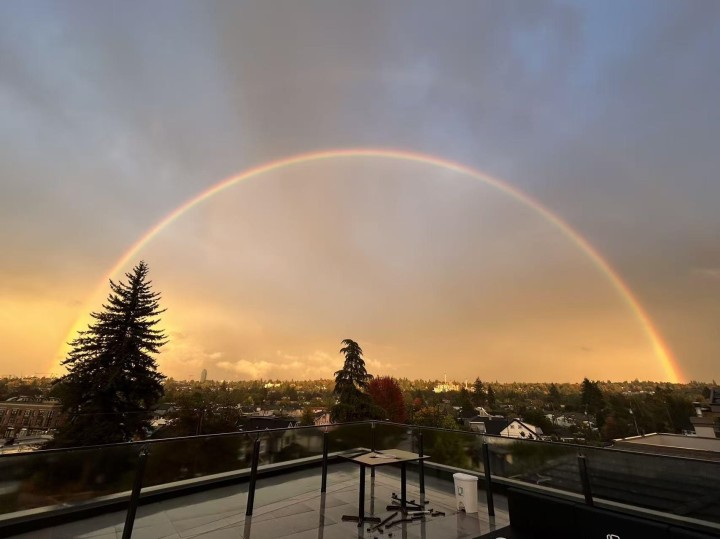 Photo 38 at 2863 W King Edward Avenue, Arbutus, Vancouver West