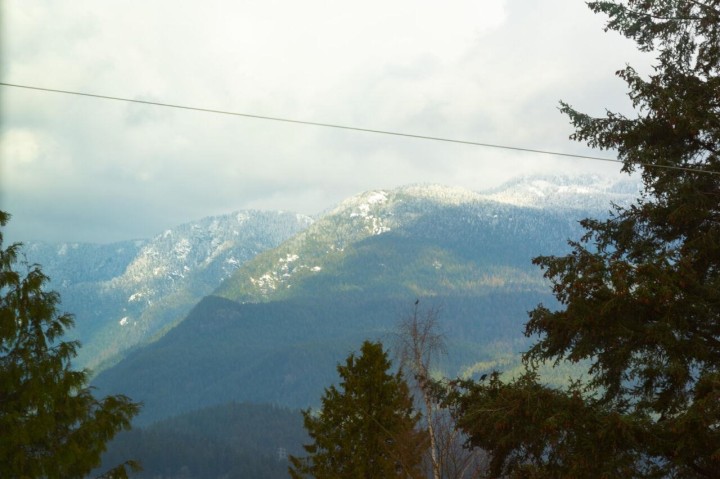 Photo 38 at 2725 Mcgill Street, Hastings Sunrise, Vancouver East