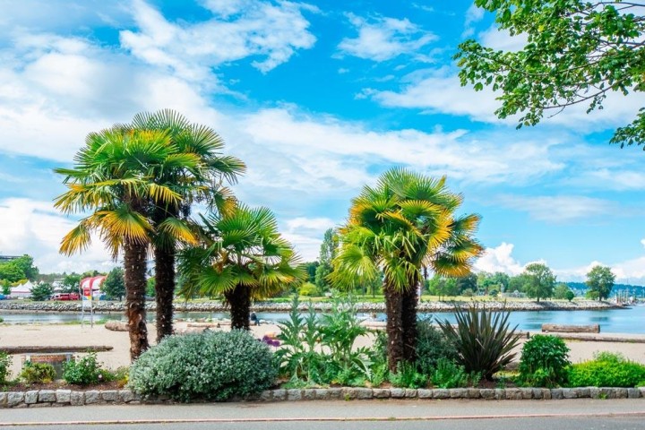 Photo 18 at 304 - 1233 Beach Avenue, West End VW, Vancouver West