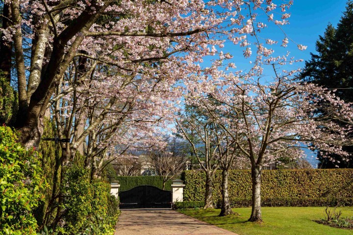 Photo 32 at 4778 Drummond Drive, Point Grey, Vancouver West